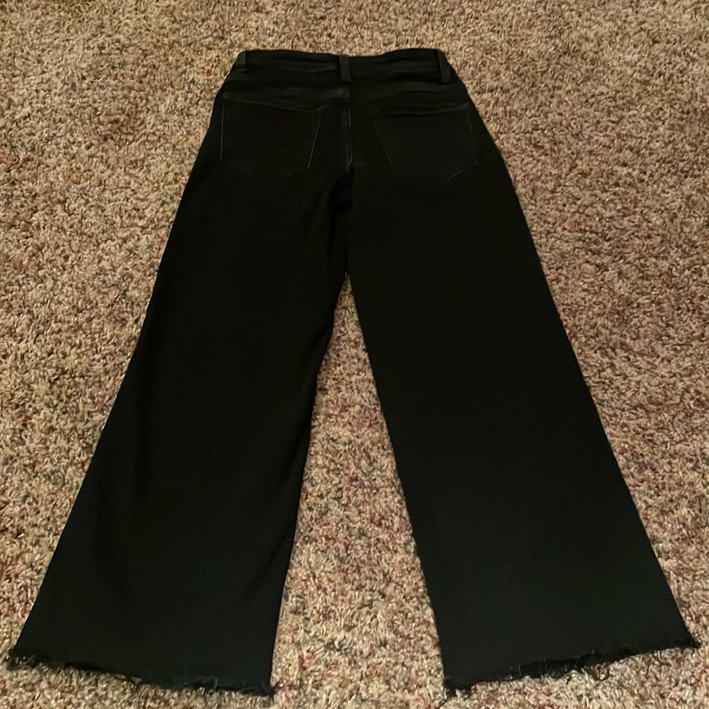 Flying Monkey - image 4